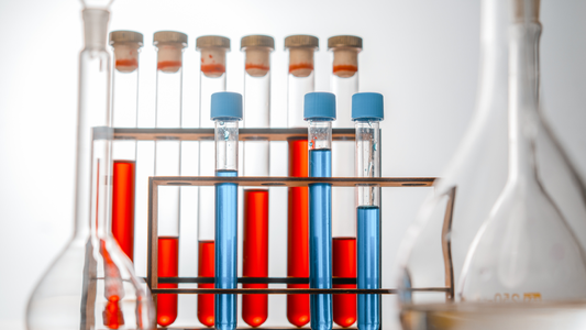 Red and blue test tubes illustrate The National Science Foundation (NSF) creatine supplement testing process for quality assurance.